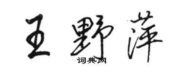 駱恆光王野萍行書個性簽名怎么寫