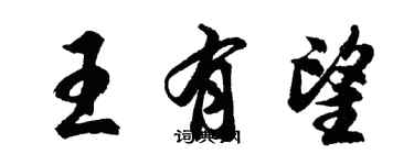 胡問遂王有望行書個性簽名怎么寫