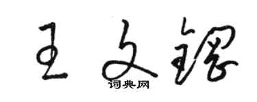 駱恆光王文鋼草書個性簽名怎么寫