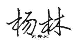 駱恆光楊林行書個性簽名怎么寫