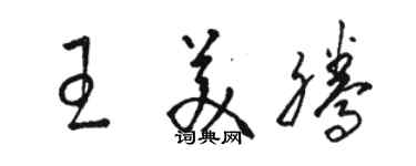 駱恆光王美騰草書個性簽名怎么寫