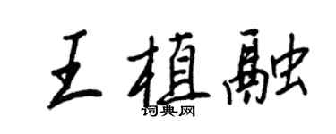 王正良王植融行書個性簽名怎么寫