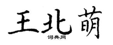 丁謙王北萌楷書個性簽名怎么寫