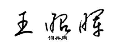 梁錦英王昭暉草書個性簽名怎么寫