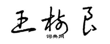 曾慶福王樹良草書個性簽名怎么寫
