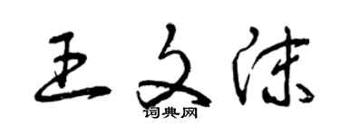曾慶福王文沫草書個性簽名怎么寫
