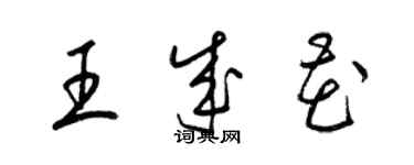 梁錦英王成花草書個性簽名怎么寫