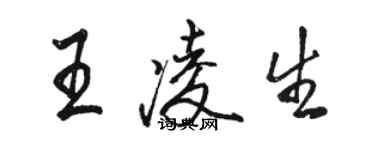 駱恆光王凌生行書個性簽名怎么寫