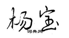 曾慶福楊寶行書個性簽名怎么寫