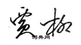 駱恆光賈柳草書個性簽名怎么寫