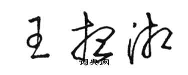 駱恆光王想湘草書個性簽名怎么寫