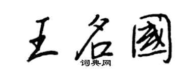 王正良王名國行書個性簽名怎么寫