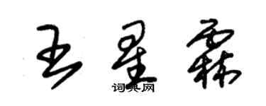 朱錫榮王星霖草書個性簽名怎么寫