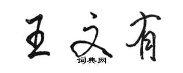 駱恆光王文有行書個性簽名怎么寫