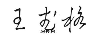駱恆光王武格草書個性簽名怎么寫