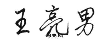 駱恆光王亮男行書個性簽名怎么寫