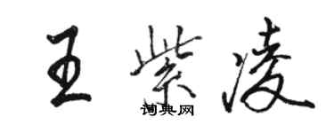 駱恆光王紫凌行書個性簽名怎么寫