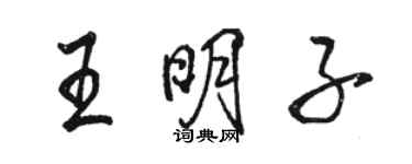 駱恆光王明子行書個性簽名怎么寫