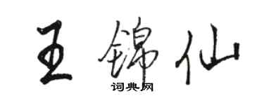 駱恆光王錦仙行書個性簽名怎么寫