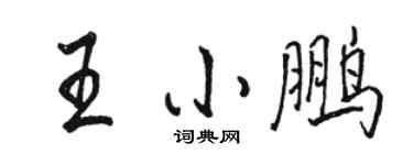 駱恆光王小鵬行書個性簽名怎么寫