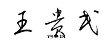 梁錦英王貴民草書個性簽名怎么寫