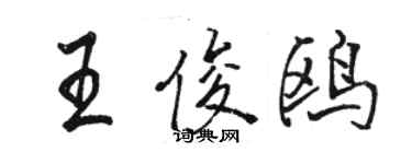 駱恆光王俊鷗行書個性簽名怎么寫