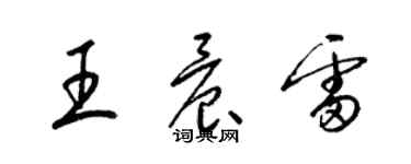 梁錦英王晨雷草書個性簽名怎么寫