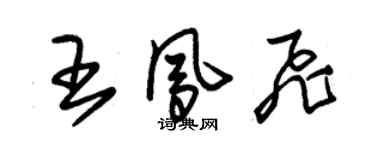 朱錫榮王鳳飛草書個性簽名怎么寫