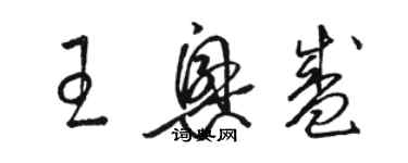 駱恆光王興盛草書個性簽名怎么寫