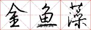 錢沛雲金魚藻行書怎么寫