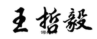 胡問遂王哲毅行書個性簽名怎么寫