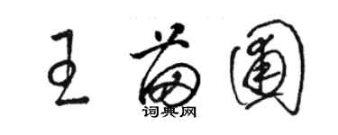 駱恆光王苗圃草書個性簽名怎么寫