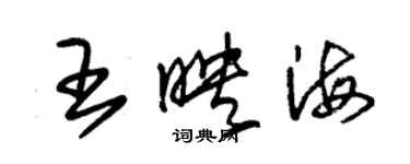 朱錫榮王映海草書個性簽名怎么寫