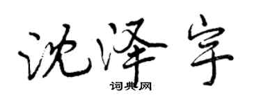 曾慶福沈澤宇行書個性簽名怎么寫