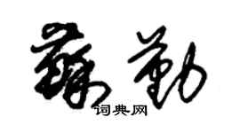 朱錫榮蘇勤草書個性簽名怎么寫