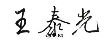 駱恆光王泰光行書個性簽名怎么寫