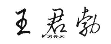 駱恆光王君勃行書個性簽名怎么寫