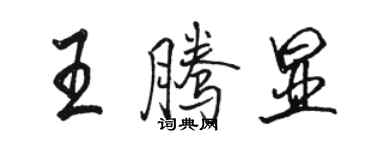 駱恆光王騰顯行書個性簽名怎么寫