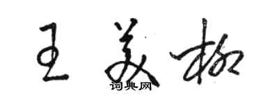 駱恆光王美柳草書個性簽名怎么寫