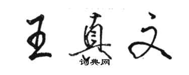 駱恆光王真文行書個性簽名怎么寫