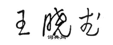 駱恆光王曉武草書個性簽名怎么寫