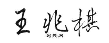 駱恆光王兆棋行書個性簽名怎么寫