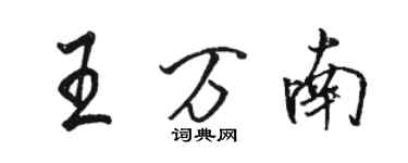 駱恆光王萬南行書個性簽名怎么寫