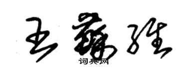 朱錫榮王蘇維草書個性簽名怎么寫