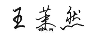 駱恆光王茉然行書個性簽名怎么寫