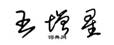 朱錫榮王增星草書個性簽名怎么寫