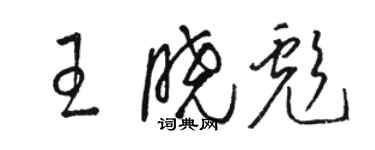 駱恆光王曉彪草書個性簽名怎么寫