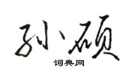 駱恆光孫碩行書個性簽名怎么寫