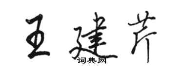 駱恆光王建芹行書個性簽名怎么寫
