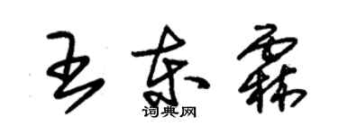 朱錫榮王東霖草書個性簽名怎么寫